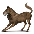 donkey werehorse