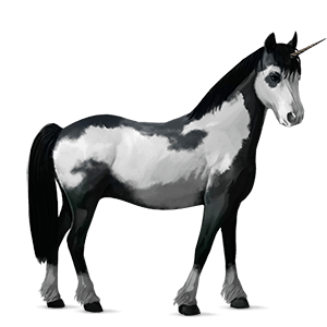 unicorn pony black