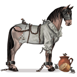 pony iron mask coat