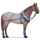 pony plain