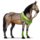 pegasus pony forest