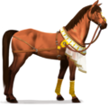 riding horse desert