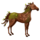 riding horse forest