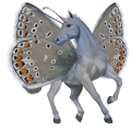 riding horse purebred spanish horse light grey