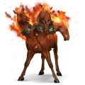 riding horse akhal-teke black