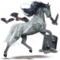 draught horse percheron light grey