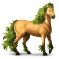 riding horse akhal-teke cherry bay