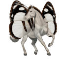 draught horse ban'ei horse black
