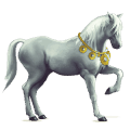 riding horse thoroughbred light grey