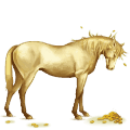 riding horse purebred spanish horse dapple grey