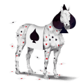 wandering horse runaway