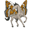 riding unicorn paint horse cherry bay overo