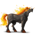 riding horse dapple grey