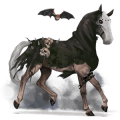 riding horse marwari dapple grey