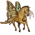 winged riding unicorn akhal-teke bay