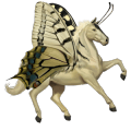 riding horse thoroughbred chestnut