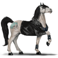 riding unicorn black leopard 