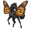 riding horse thoroughbred black