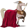 riding horse arabian horse chestnut