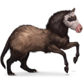 wild horse ferret