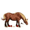 riding horse tennessee walker palomino