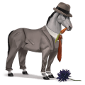 riding horse dun