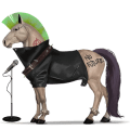 pony highland pony dun