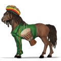 riding horse argentinean criollo liver chestnut