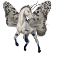 draught pegasus shire black