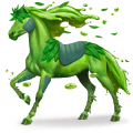 divine horse matcha tea