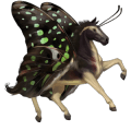 riding horse quarter horse mouse grey