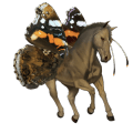 riding unicorn chestnut tovero 