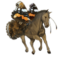 riding horse purebred spanish horse dapple grey