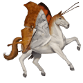 riding horse thoroughbred cremello