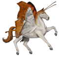 riding horse vanner mouse grey
