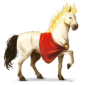 riding horse kwpn palomino