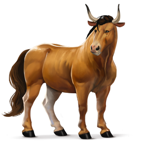 wild horse ox