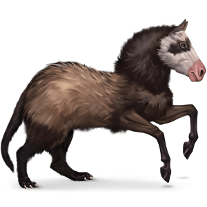 pet-ferret
