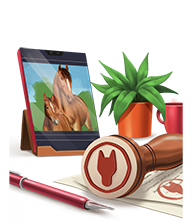elevagebureau