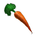 carrot