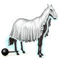 riding horse ghost