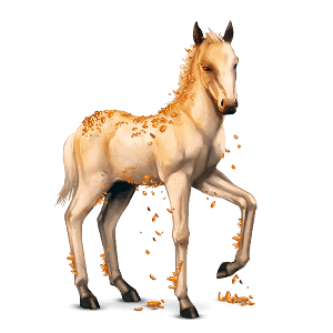 Topaz, Gemstone horse Topaz #3626457 - Howrse