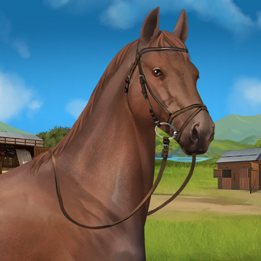 +Rare sale 3 coat, Riding Horse Knabstrupper Bay Blanket 2844454 Howrse