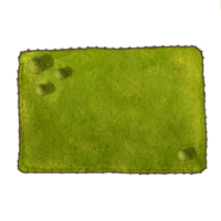 medium meadow
